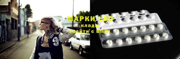 эйфоретик Арсеньев