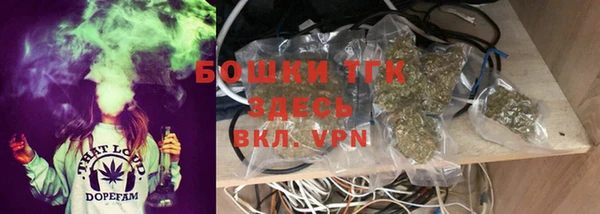 эйфоретик Арсеньев