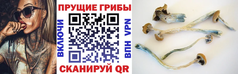Галлюциногенные грибы MAGIC MUSHROOMS  цены   Спасск-Дальний 